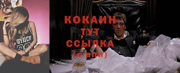 стаф Алексин