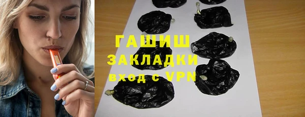 стаф Алексин